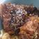 Cooksnap dari Ivoo 🌻 untuk resep Garlic N Honey Chicken Wings