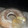 El cooksnap de daniela cuando hizo Budín de limón rico y fácil!.