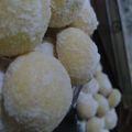 Cooksnap dari Clarissa Gracesye Tjoa untuk resep Putri Salju