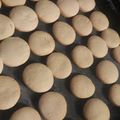 El cooksnap de agustina algorta sinnott cuando hizo Galletitas fáciles.