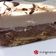 Cooksnap από kimwlos στη συνταγή Δίχρωμο μπισκοτογλυκό