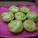 Cooksnap dari Fitriah Puspitaningtyas untuk resep Bolu kukus alpukat/alpukat kukus #keto #debm #lowcarbo