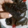 Cooksnap dari Onny Chan untuk resep Martabak Ketan Hitam