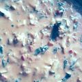 sugaree76's cooksnap of when they made Creamy Tomato Soup with Chicken & Garlic Ravioli.