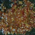 Cooksnap dari Fridah untuk resep Sambel Korek