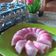 Cooksnap dari nisa sartika untuk resep Lapis Beras Pandan | Kue Lapis Beras Pandan