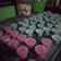 Cooksnap dari lisa nur untuk resep Agar agar isi pisang