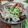 潘俊霖的(簡單料理) 的 簡易越南雞絲河粉 cooksnap