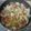 Cooksnap dari Sangaji untuk resep Cah Tahu Sawi Putih