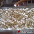 Cooksnap από edessaia στη συνταγή Το τέλειο εκμέκ κανταΐφι