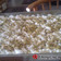 Cooksnap από edessaia στη συνταγή Το τέλειο εκμέκ κανταΐφι