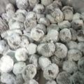 Cooksnap dari Mahya Cake & Cookies untuk resep Kue kering putri salju oreo || ide bisnis lebaran 2020