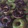 Cooksnap dari Lidya Ambrisiani untuk resep Kue kering mini donat