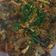Cooksnap dari Alin Hardian untuk resep Kerang Dara Saus Tiram Pedas