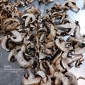کوک اسنپ kadbanoogary 🇮🇷 بعد از امتحان کردن قارچ دکمه اسلایس خشک شده.