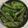 Seema Vadgama's cooksnap of when they made ભરેલા મરચા નો સંભારો (Bharela Marcha Sambharo Recipe In Gujarati).