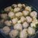 Cooksnap dari Dora Hutasuhut untuk resep Kuah bakso sapi