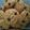 Cooksnap dari Dapur Kakak untuk resep Oatmeal / Havermut Cookies/ Lacta Cookies ala Dapur Dina