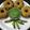 Er. Amrita Shrivastava 's cooksnap of when they made Spinach Medu vada.