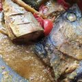 Cooksnap dari elan untuk resep Tongkol bumbu kuning/tongkol betu'up(banjarmasin)