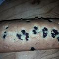 El cooksnap de Mariana Miño cuando hizo Budín de limón.