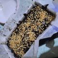 Cooksnap dari Icmi Al Qodri untuk resep Choco Brownies Diet Vegan