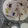 El cooksnap de Rosa María Espigares Núñez cuando hizo Arroz con leche cremoso.