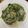 Venus 的 忌廉菠菜 cooksnap