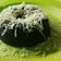 Cooksnap dari Rahen Aza untuk resep Brownis Oreo Simpel