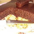 Cooksnap dari Intan Amalia untuk resep Bolu Karamel Sarang Semut