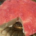 Cooksnap dari Sulaeman untuk resep Srawberry Cheese Cake Roti Tawar