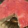 Cooksnap dari Sulaeman untuk resep Srawberry Cheese Cake Roti Tawar