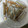 El cooksnap de Mariano Parra cuando hizo Navajas a la plancha.