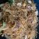 Cooksnap dari triset_tya untuk resep Bihun Goreng Bakso