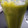 El cooksnap de Maricali1979 cuando hizo Smoothie de lechuga y pencas de apio.