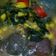 Cooksnap dari Tria Al-Ayyubi untuk resep Kapurung a.k.a papeda ala sulawesi