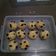 Cooksnap dari Diah Ummi Rasya untuk resep Bolu Tape Keju Kukus