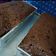 Cooksnap dari Hilyah Ummu Hasanah untuk resep Double Chocolate Banana Muffins