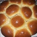 El cooksnap de Paula cuando hizo Bollitos dulces con anís🌼.