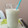 El cooksnap de Mayu cuando hizo Batido de yogur natural 0% con menta y limón.