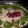  Chef Richa pathak.'s cooksnap of when they made Cucumber raita.