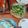 El cooksnap de Araceli cuando hizo Pescado con papas y crema.