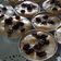 Cooksnap dari Yuni keywong untuk resep Klapertart