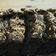 Cooksnap dari Maghfira Agustin untuk resep brownies panggang klasik