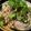 รูป Cooksnap ของ supatchaya เมื่อเขาทำ ลาบตับหมู
