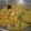 Cooksnap dari Fahmia Putri untuk resep Opor Kuning T2 (Tahu Telur)