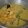 Cooksnap dari Fahmia Putri untuk resep Opor Kuning T2 (Tahu Telur)