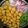 Bhumi Parikh's cooksnap of when they made મિક્સ દાળ વડા (Mix Dal Vada Recipe In Gujarati).