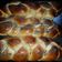 El cooksnap de Andrea Policella cuando hizo El pan de ShabatPan jala.