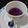 Supriya Devkar 's cooksnap of when they made Butterfly pea flower (Ginger Tea).